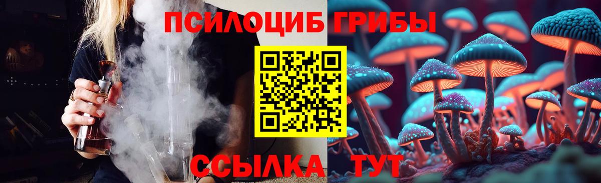 Вышний Волочёк  Псилоцибиновые грибы MAGIC MUSHROOMS  Вход с VPN 